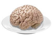 brain on plate