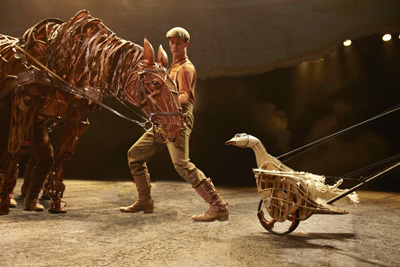 War Horse 2