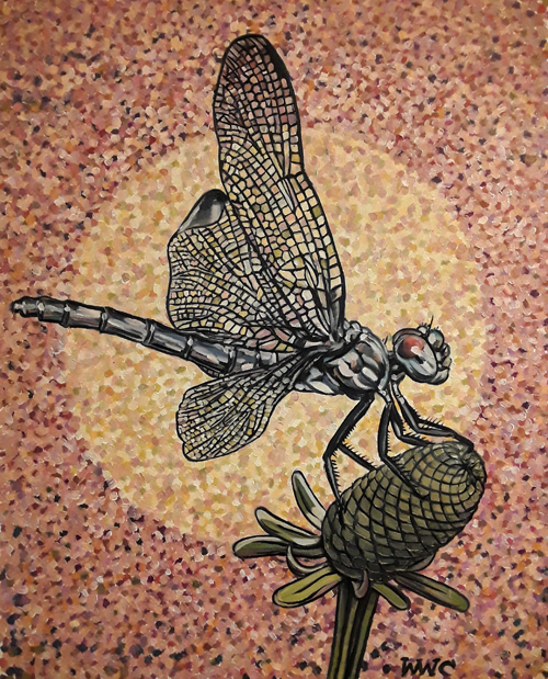 dragonfly