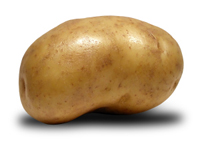 potato